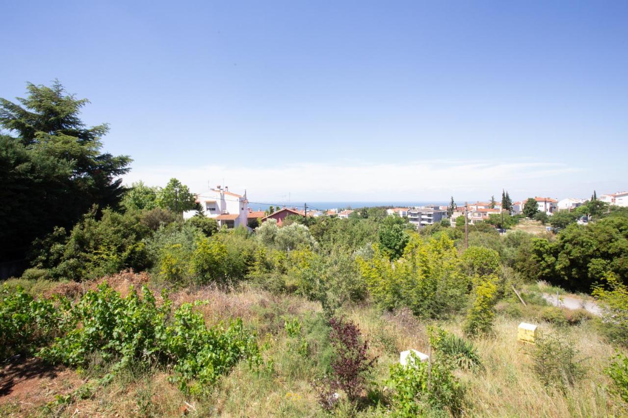 Vila τraditional Fully Detached On A Luxurious Hillock Of With Its Own Garden Also For Family & Wedding Gatherings For 10 To 25 People Only 15 Minutes From Airport
